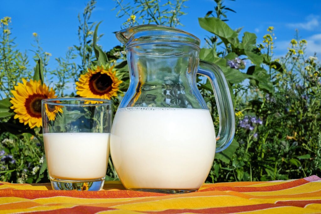jarro de leite que complementa os desafios e perspectivas para 2022 no agronegócio